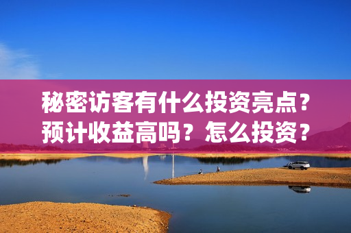 秘密访客有什么投资亮点？预计收益高吗？怎么投资？(秘密访客有什么好看的)