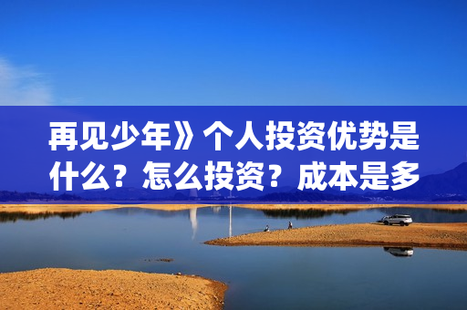 再见少年》个人投资优势是什么？怎么投资？成本是多少？(再见少年简介)