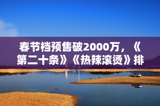 春节档预售破2000万，《第二十条》《热辣滚烫》排名前二