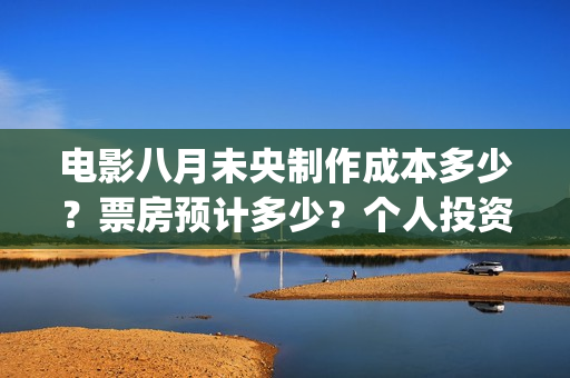 电影八月未央制作成本多少？票房预计多少？个人投资份额真实吗？(电影八月未央制片人是谁)