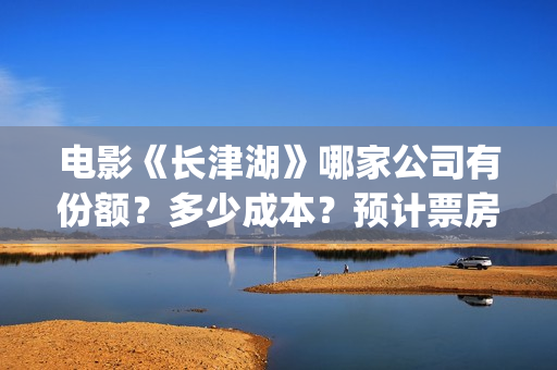 电影《长津湖》哪家公司有份额？多少成本？预计票房多少？(电影《长津湖》观后感400字)
