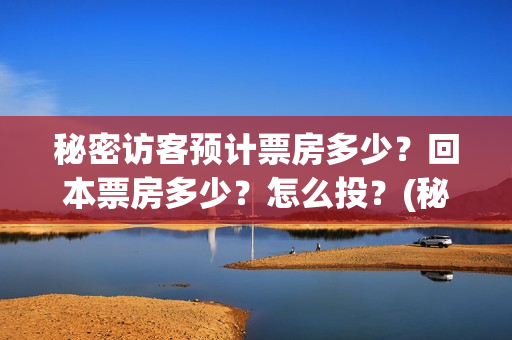秘密访客预计票房多少？回本票房多少？怎么投？(秘密访客 购票立减12元)