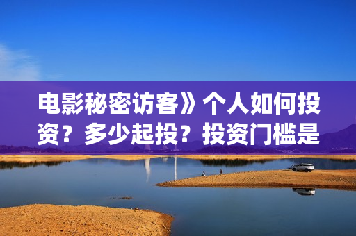 电影秘密访客》个人如何投资？多少起投？投资门槛是多少？制作成本是多少？(电影秘密访客故事讲的是什么)