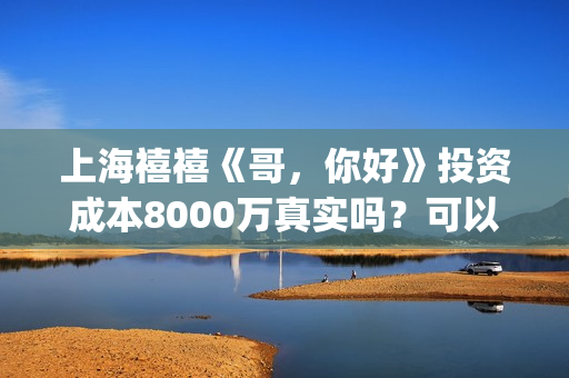上海禧禧《哥，你好》投资成本8000万真实吗？可以投资？(禧哥是做什么行业的)