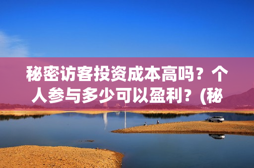 秘密访客投资成本高吗？个人参与多少可以盈利？(秘密访客电影投资效果价目表)