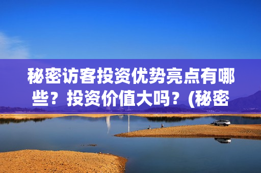 秘密访客投资优势亮点有哪些？投资价值大吗？(秘密访客 投资方)
