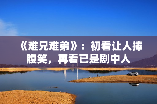 《难兄难弟》：初看让人捧腹笑，再看已是剧中人