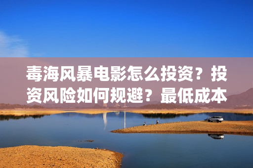 毒海风暴电影怎么投资?投资风险如何规避?最低成本多少?(毒海风暴上映时间) 毒海风暴电影怎么投资?投资风险如何规避?最低成本多少?(毒海风暴上映时间)