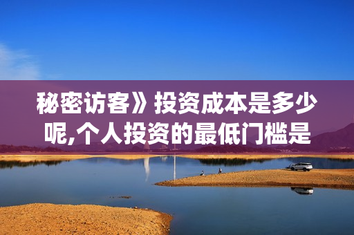 秘密访客》投资成本是多少呢,个人投资的最低门槛是多少(秘密访客票房惨淡)