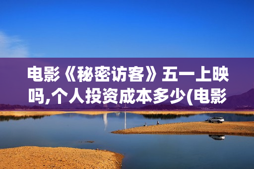 电影《秘密访客》五一上映吗,个人投资成本多少(电影《秘密访客》)