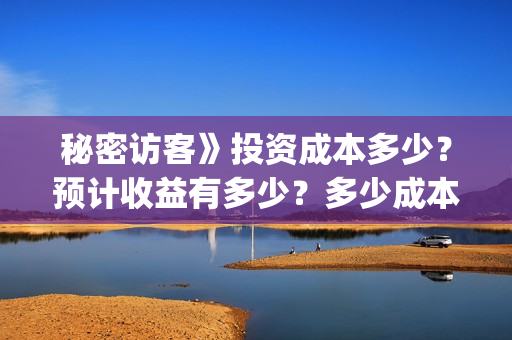 秘密访客》投资成本多少？预计收益有多少？多少成本？(秘密访客演什么)