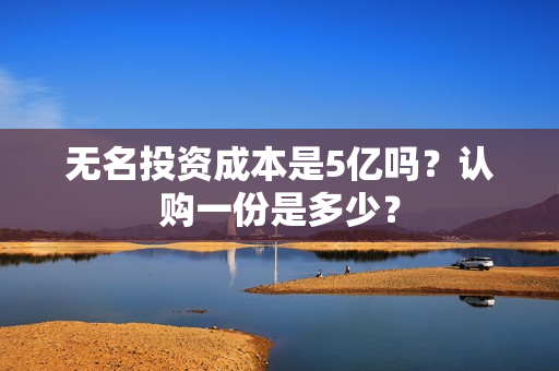 无名投资成本是5亿吗？认购一份是多少？