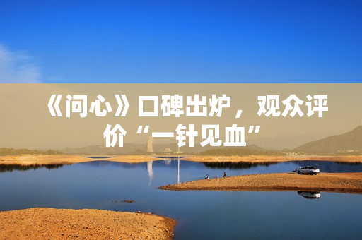 《问心》口碑出炉，观众评价“一针见血”