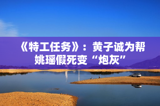 《特工任务》：黄子诚为帮姚瑶假死变“炮灰”