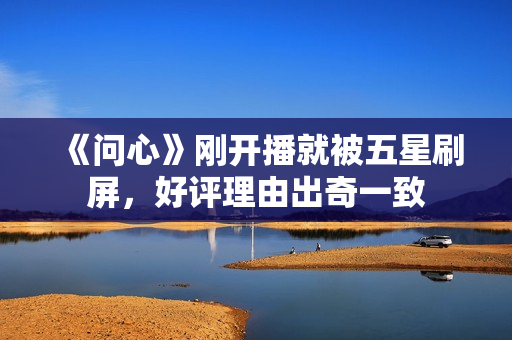 《问心》刚开播就被五星刷屏，好评理由出奇一致