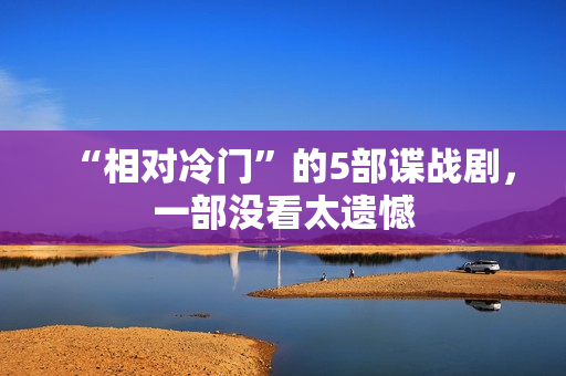 “相对冷门”的5部谍战剧，一部没看太遗憾