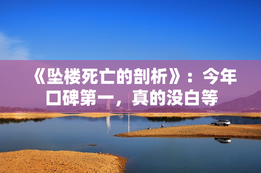 《坠楼死亡的剖析》：今年口碑第一，真的没白等