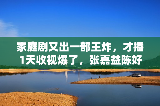 家庭剧又出一部王炸，才播1天收视爆了，张嘉益陈好演技惊艳四座