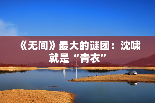 《无间》最大的谜团：沈啸就是“青衣”