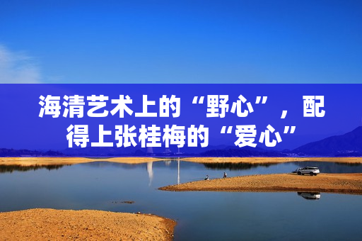 海清艺术上的“野心”，配得上张桂梅的“爱心”