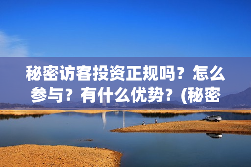 秘密访客投资正规吗？怎么参与？有什么优势？(秘密访客自首)