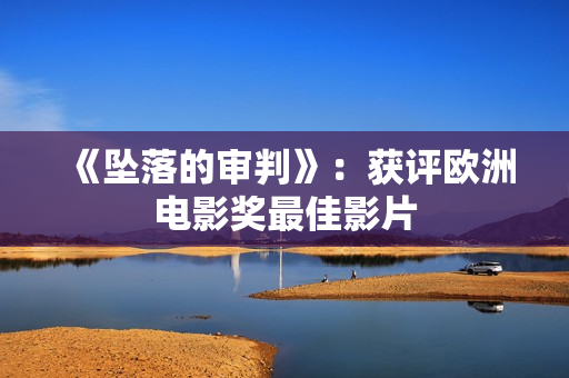 《坠落的审判》：获评欧洲电影奖最佳影片