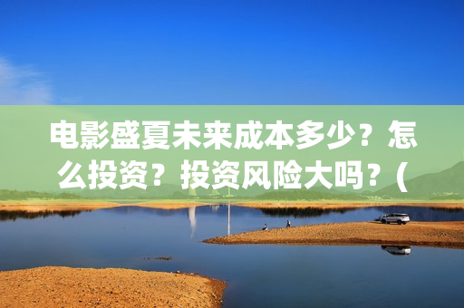 电影盛夏未来成本多少？怎么投资？投资风险大吗？(电影盛夏未来改编小说)