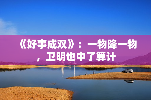 《好事成双》：一物降一物，卫明也中了算计