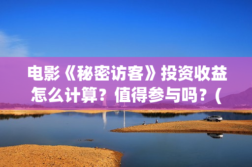 电影《秘密访客》投资收益怎么计算？值得参与吗？(电影《秘密访客》在线观看)