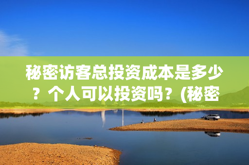 秘密访客总投资成本是多少？个人可以投资吗？(秘密访客总投资多少钱)
