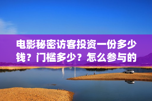 电影秘密访客投资一份多少钱？门槛多少？怎么参与的？(秘密访客电影名)