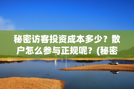 秘密访客投资成本多少？散户怎么参与正规呢？(秘密访客 投资方)