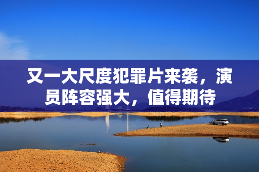 又一大尺度犯罪片来袭，演员阵容强大，值得期待