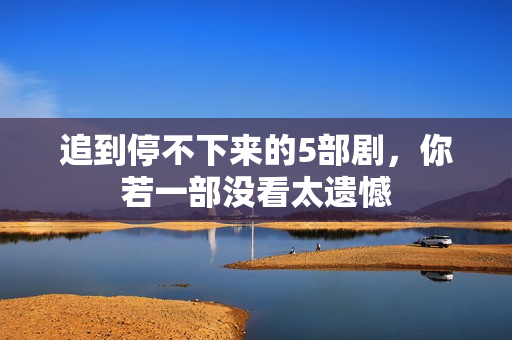 追到停不下来的5部剧,你若一部没看太遗憾 追到停不下来的5部剧,你若一部没看太遗憾