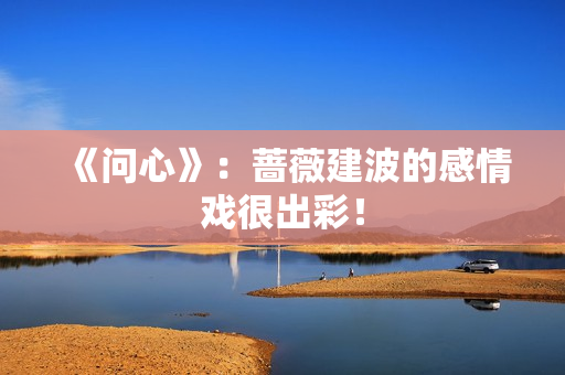 《问心》：蔷薇建波的感情戏很出彩！