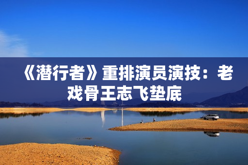 《潜行者》重排演员演技：老戏骨王志飞垫底