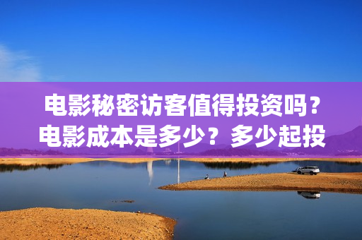 电影秘密访客值得投资吗？电影成本是多少？多少起投(电影秘密访客值多少钱啊)