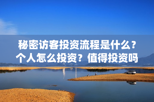 秘密访客投资流程是什么？个人怎么投资？值得投资吗？(秘密访客投资流程图)