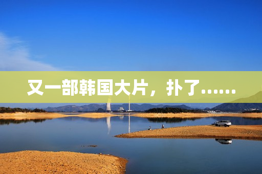 又一部韩国大片，扑了……