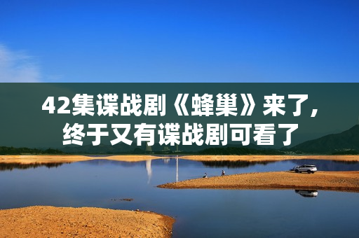 42集谍战剧《蜂巢》来了,终于又有谍战剧可看了