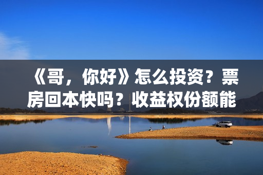 《哥，你好》怎么投资？票房回本快吗？收益权份额能对个人转让吗？(哥哥你好吗是什么歌)