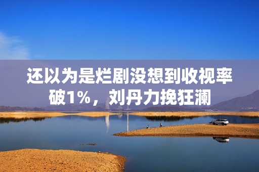 还以为是烂剧没想到收视率破1%,刘丹力挽狂澜 还以为是烂剧没想到收视率破1%,刘丹力挽狂澜