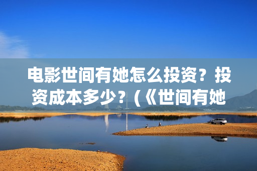 电影世间有她怎么投资？投资成本多少？(《世间有她》)