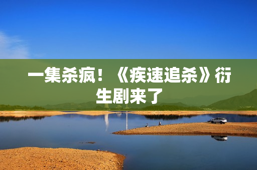 一集杀疯！《疾速追杀》衍生剧来了