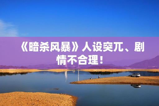 《暗杀风暴》人设突兀、剧情不合理！