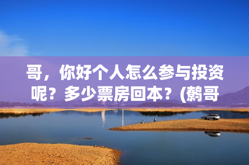 哥,你好个人怎么参与投资呢?多少票房回本?(鹩哥你好mp3) 哥,你好个人怎么参与投资呢?多少票房回本?(鹩哥你好mp3)