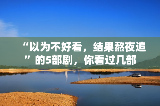 “以为不好看，结果熬夜追”的5部剧，你看过几部