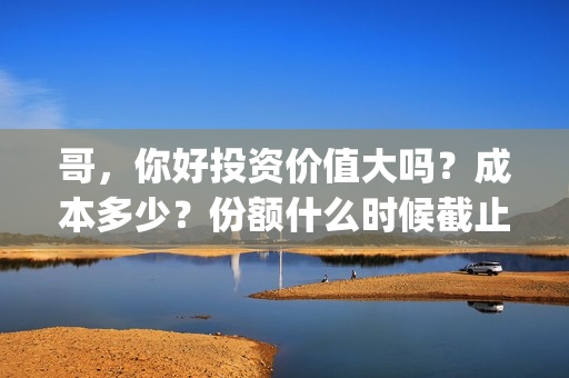 哥，你好投资价值大吗？成本多少？份额什么时候截止？(歌曲哥哥你好)