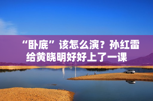 “卧底”该怎么演？孙红雷给黄晓明好好上了一课