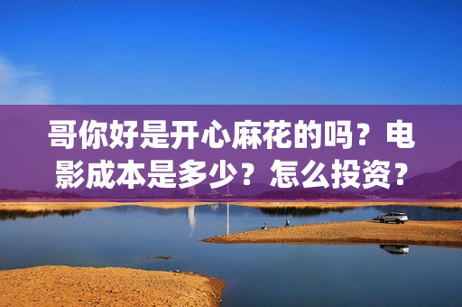 哥你好是开心麻花的吗？电影成本是多少？怎么投资？(你好开心是谁)